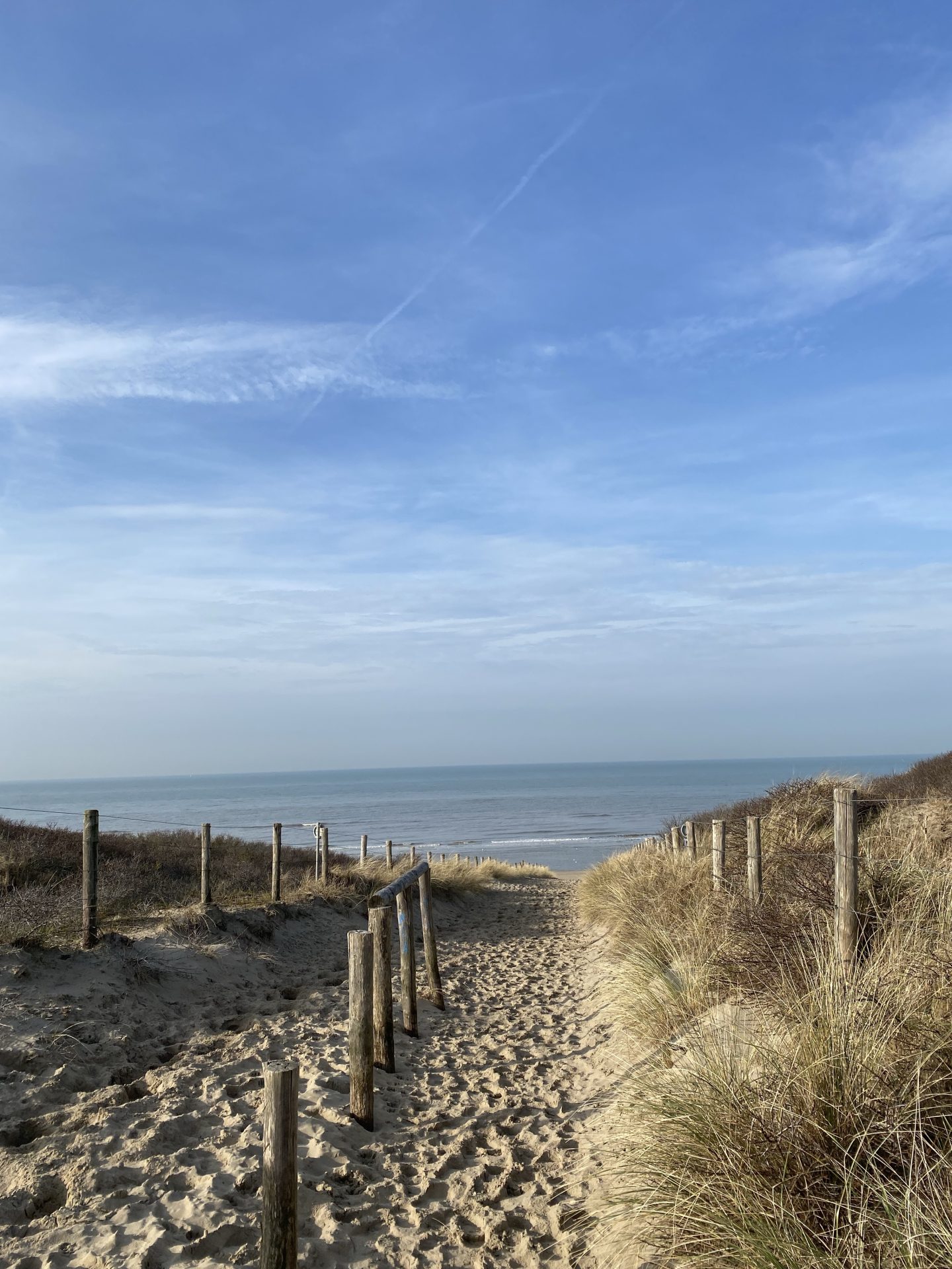 Eine sonnige Küstenlandschaft in Noordwijk-5 Tipps für die Lebergesundheit